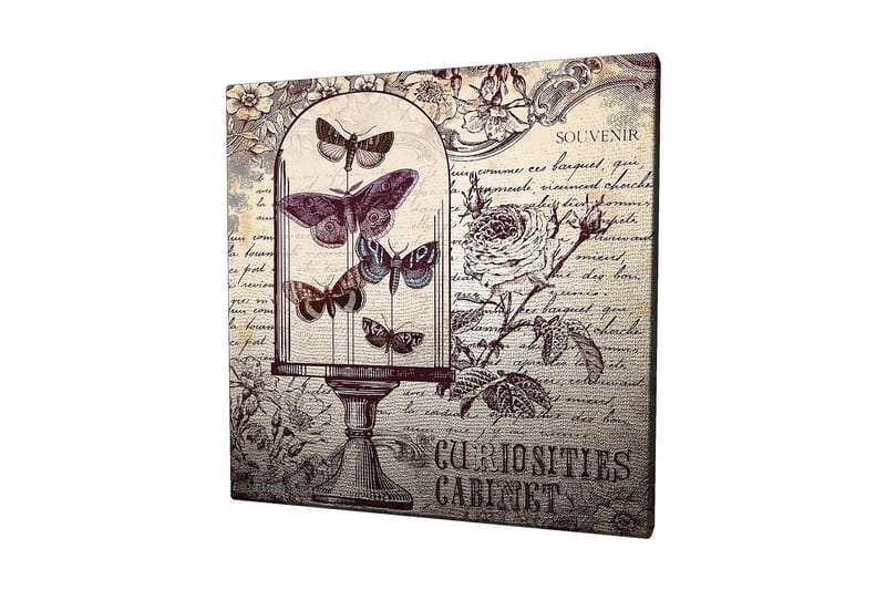 Lærredstryk 45x45 cm - Insekter i en glasskål med blomster og håndskrevet tekst i baggrunden, Lilla / Grå / Beige