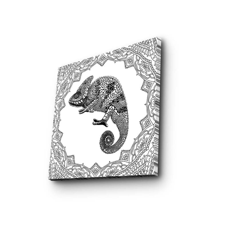 Lærredstryk 45x45 cm - Kamæleon i detaljeret sort-hvid stil - Sort / Hvid - Boligtilbehør - Billeder & kunst - Billeder på lærred
