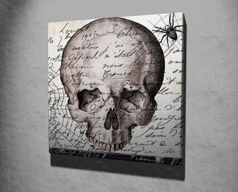 Lærredstryk 45x45 cm - Mørkt kranium med håndskrevet tekst og edderkoppemotiv - Grå / Sort / Beige - Boligtilbehør - Billeder & kunst - Billeder på lærred