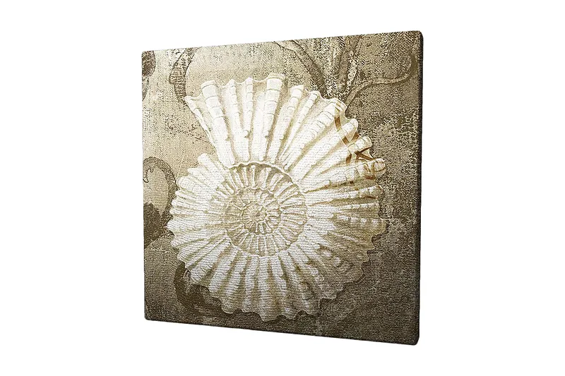 Lærredstryk 45x45 cm - Muslingeskal med detaljeret struktur på en blød baggrund, Hvid / Beige / Grå