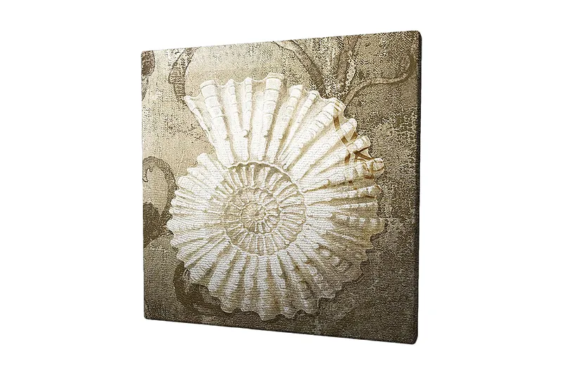 Lærredstryk 45x45 cm - Muslingeskal med detaljeret struktur på en blød baggrund, Hvid / Beige / Grå