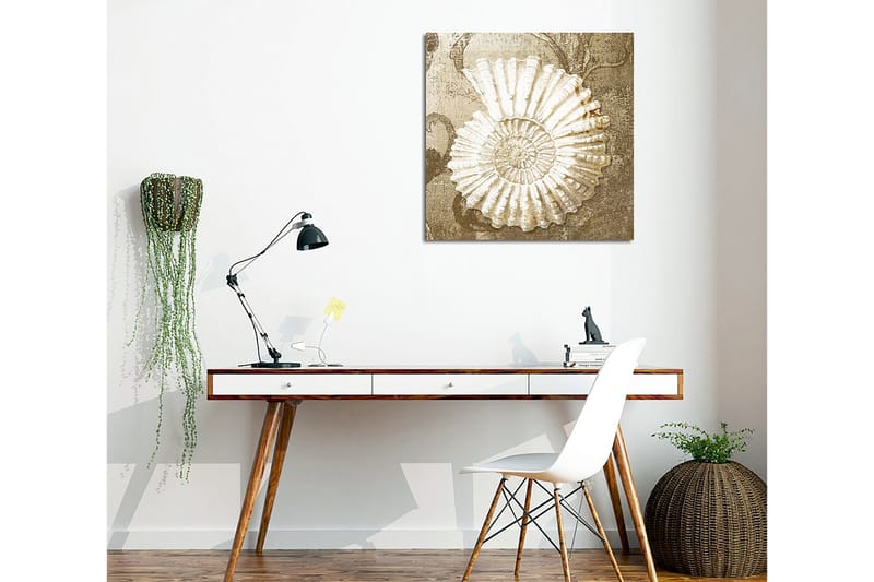 Lærredstryk 45x45 cm - Muslingeskal med detaljeret struktur på en blød baggrund - Hvid / Beige / Grå - Boligtilbehør - Billeder & kunst - Billeder på lærred