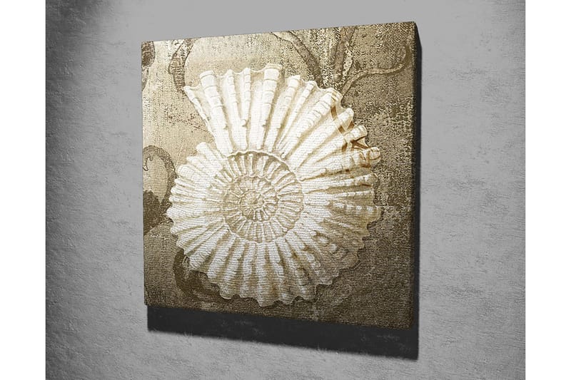 Lærredstryk 45x45 cm - Muslingeskal med detaljeret struktur på en blød baggrund - Hvid / Beige / Grå - Boligtilbehør - Billeder & kunst - Billeder på lærred