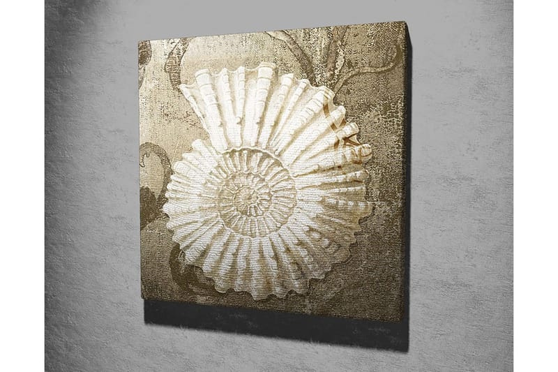 Lærredstryk 45x45 cm - Muslingeskal med detaljeret struktur på en blød baggrund - Hvid / Beige / Grå - Boligtilbehør - Billeder & kunst - Billeder på lærred