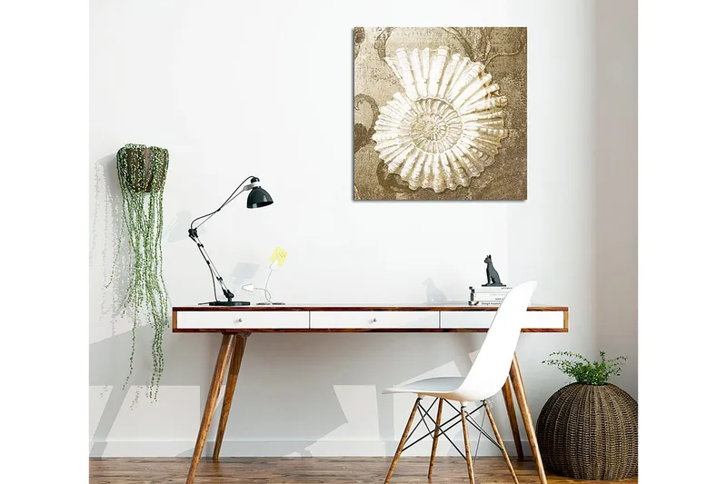 Lærredstryk 45x45 cm - Muslingeskal med detaljeret struktur på en blød baggrund - Hvid / Beige / Grå - Boligtilbehør - Billeder & kunst - Billeder på lærred