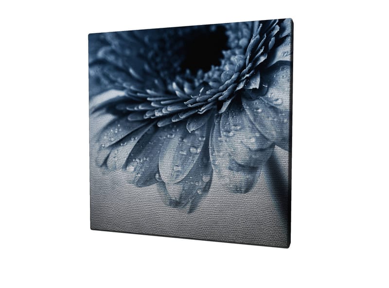 Lærredstryk 45x45 cm - Nærbillede af en blomst med vanddråber på kronbladene - Blå / Grå - Boligtilbehør - Billeder & kunst - Billeder på lærred