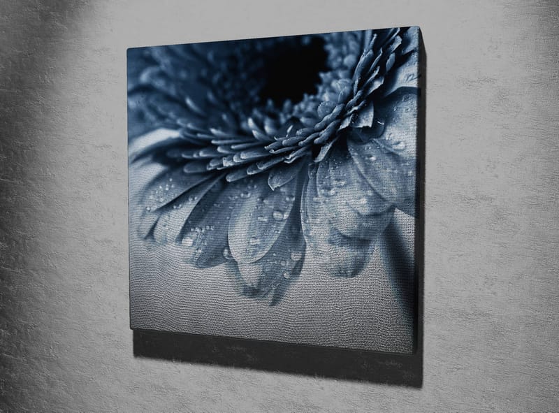 Lærredstryk 45x45 cm - Nærbillede af en blomst med vanddråber på kronbladene - Blå / Grå - Boligtilbehør - Billeder & kunst - Billeder på lærred