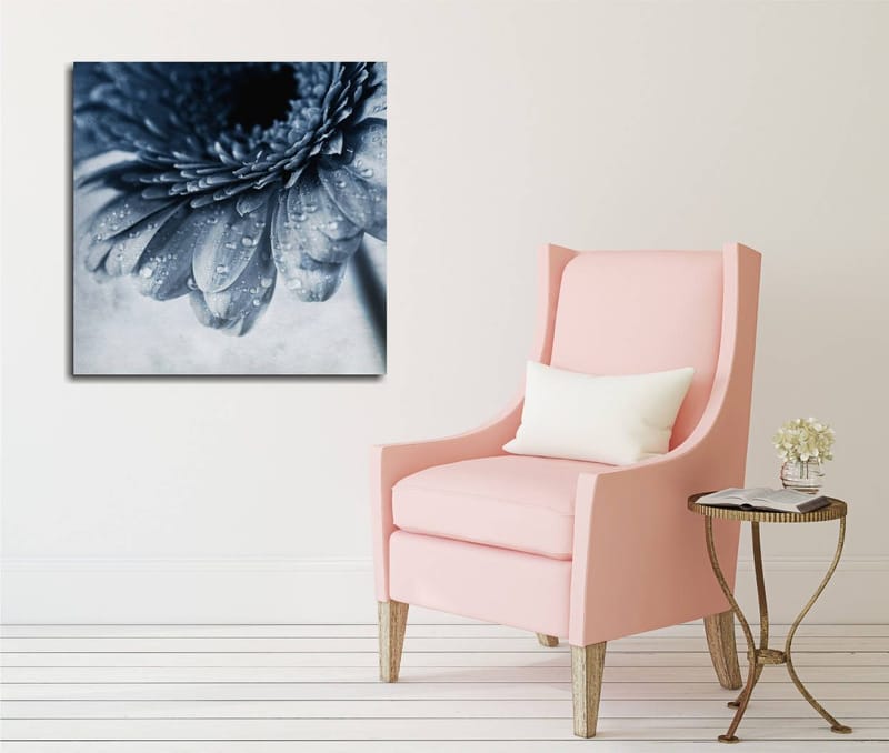Lærredstryk 45x45 cm - Nærbillede af en blomst med vanddråber på kronbladene, Blå / Grå