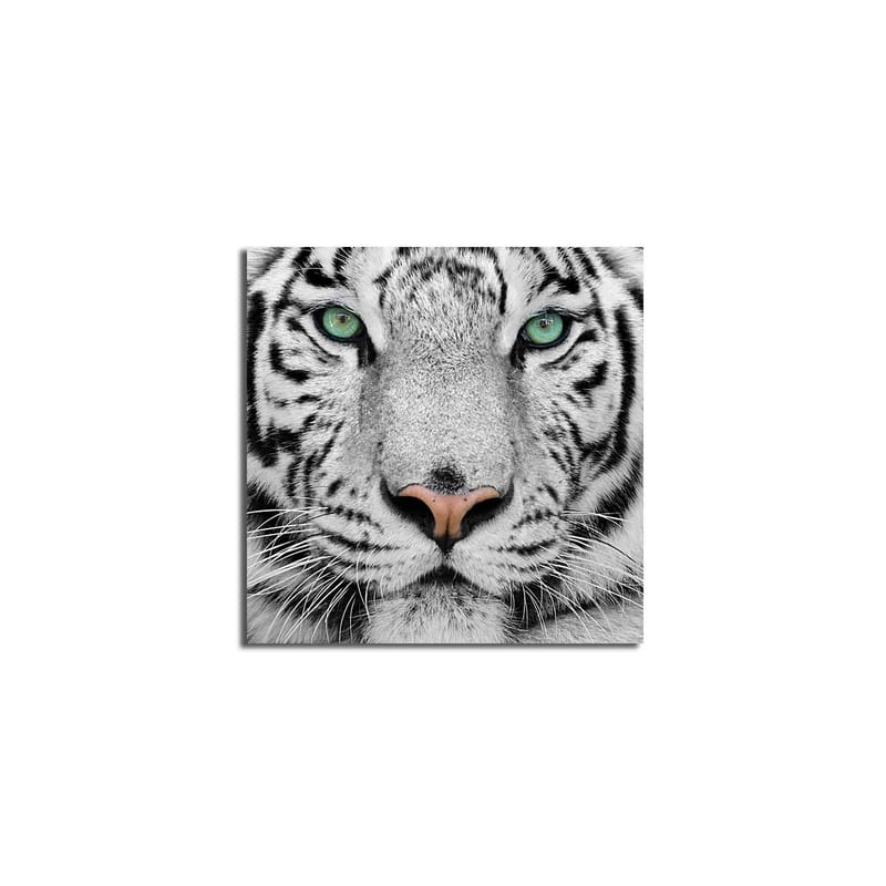 Lærredstryk 45x45 cm - Nærbillede af en hvid tiger med intense øjne - Hvid / Sort / Grøn - Boligtilbehør - Billeder & kunst - Billeder på lærred