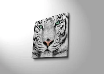 Lærredstryk 45x45 cm - Nærbillede af en hvid tiger med intense øjne - Hvid / Sort / Grøn - Boligtilbehør - Billeder & kunst - Billeder på lærred
