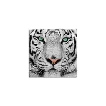 Lærredstryk 45x45 cm - Nærbillede af en hvid tiger med intense øjne - Hvid / Sort / Grøn - Boligtilbehør - Billeder & kunst - Billeder på lærred