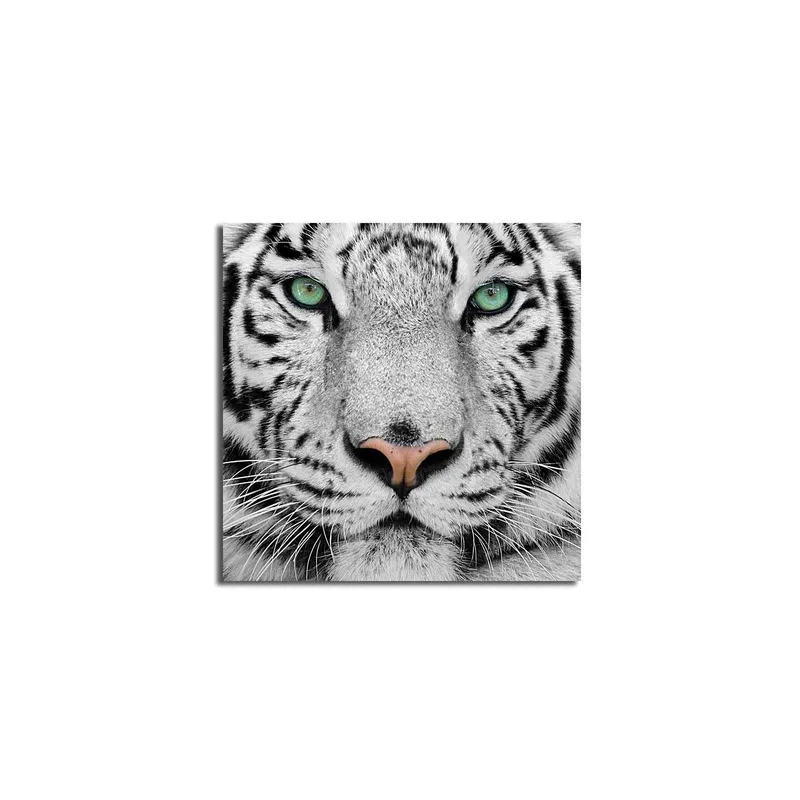 Lærredstryk 45x45 cm - Nærbillede af en hvid tiger med intense øjne - Hvid / Sort / Grøn - Boligtilbehør - Billeder & kunst - Billeder på lærred