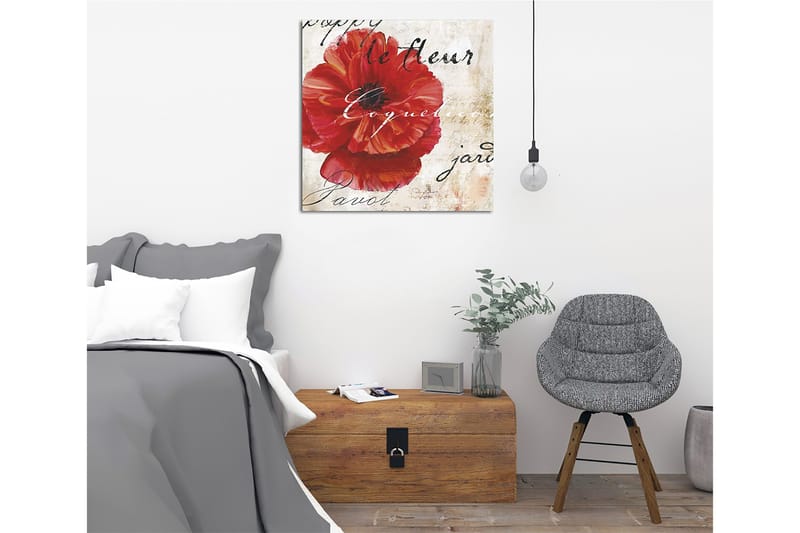 Lærredstryk 45x45 cm - Rød valmue med håndskrevet tekst i baggrunden - Rød / Beige / Sort - Boligtilbehør - Billeder & kunst - Billeder på lærred