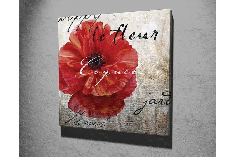 Lærredstryk 45x45 cm - Rød valmue med håndskrevet tekst i baggrunden - Rød / Beige / Sort - Boligtilbehør - Billeder & kunst - Billeder på lærred