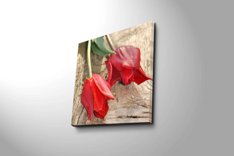 Lærredstryk 45x45 cm - Røde tulipaner på træoverflade - Rød / Grøn - Boligtilbehør - Billeder & kunst - Billeder på lærred