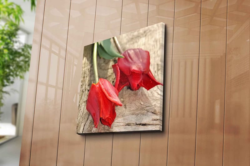 Lærredstryk 45x45 cm - Røde tulipaner på træoverflade - Rød / Grøn - Boligtilbehør - Billeder & kunst - Billeder på lærred