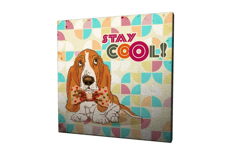 Lærredstryk 45x45 cm - Sød basset hound med en pæn butterfly, Orange / Blå / Beige