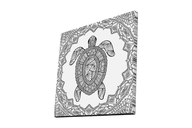 Lærredstryk 45x45 cm - Skildpadde i geometrisk stil omgivet af dekorative mønstre, Sort / Hvid