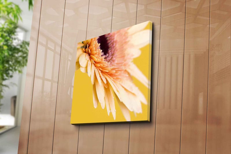 Lærredstryk 45x45 cm - Smuk blomst med klare kronblade og vanddråber - Lys pink / Gul / Lilla - Boligtilbehør - Billeder & kunst - Billeder på lærred