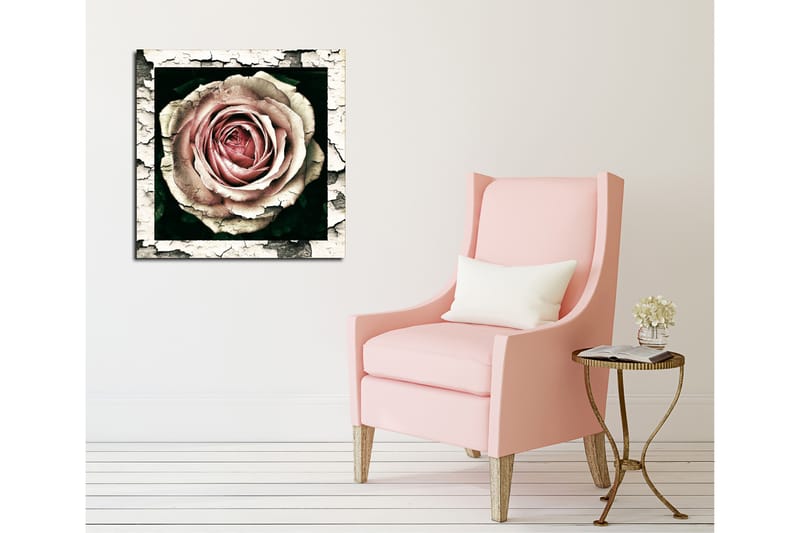 Lærredstryk 45x45 cm - Smuk rose med detaljeret tekstur og farvenuancer - Lyserød / Grå / Sort - Boligtilbehør - Billeder & kunst - Billeder på lærred