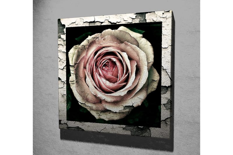Lærredstryk 45x45 cm - Smuk rose med detaljeret tekstur og farvenuancer - Lyserød / Grå / Sort - Boligtilbehør - Billeder & kunst - Billeder på lærred