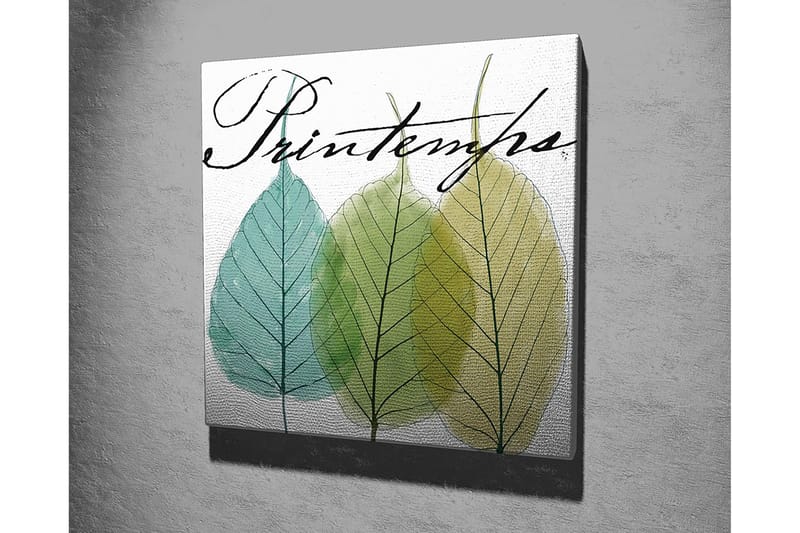 Lærredstryk 45x45 cm - Smukke blade i forskellige grønne nuancer - Grøn / Lyseblå / Gulgrøn - Boligtilbehør - Billeder & kunst - Billeder på lærred