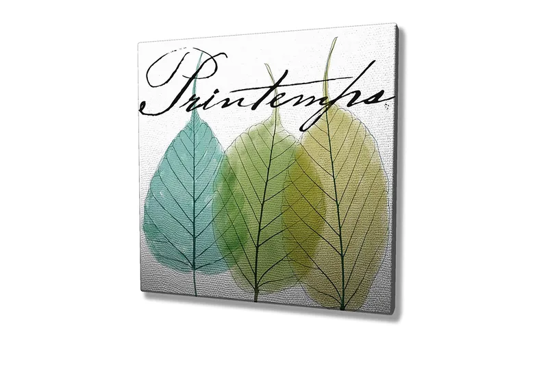 Lærredstryk 45x45 cm - Smukke blade i forskellige grønne nuancer - Grøn / Lyseblå / Gulgrøn - Boligtilbehør - Billeder & kunst - Billeder på lærred