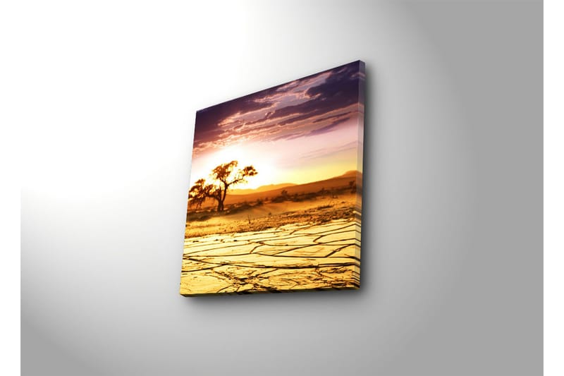 Lærredstryk 45x45 cm - Solnedgang over et ørkenlandskab med et ensomt træ - Guld / Orange / Lilla - Boligtilbehør - Billeder & kunst - Billeder på lærred