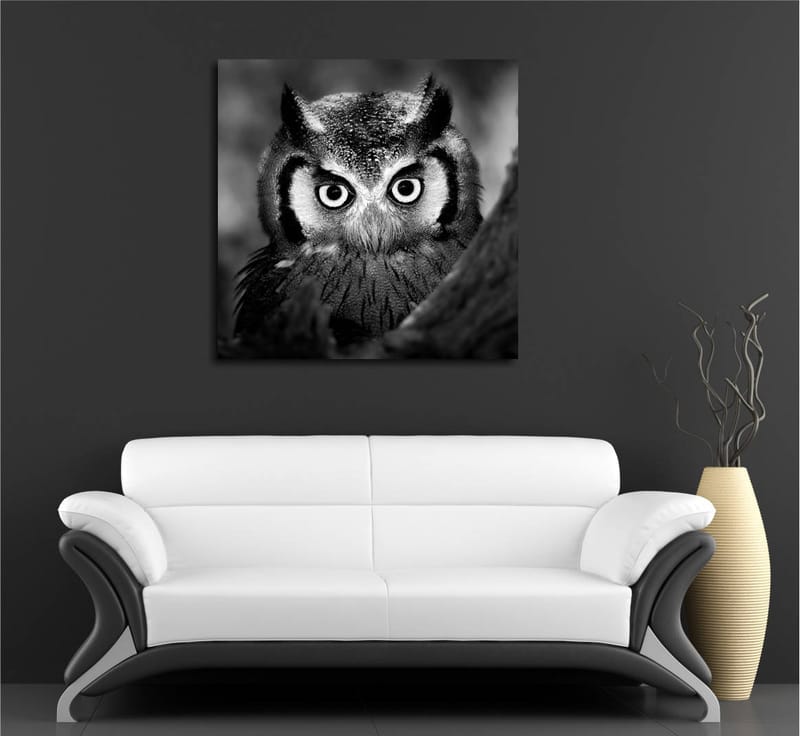 Lærredstryk 45x45 cm - Sort-hvid nærbillede af ugle med froststænkede fjer og et gennemtrængende blik - Sort / Hvid - Boligtilbehør - Billeder & kunst - Billeder på lærred