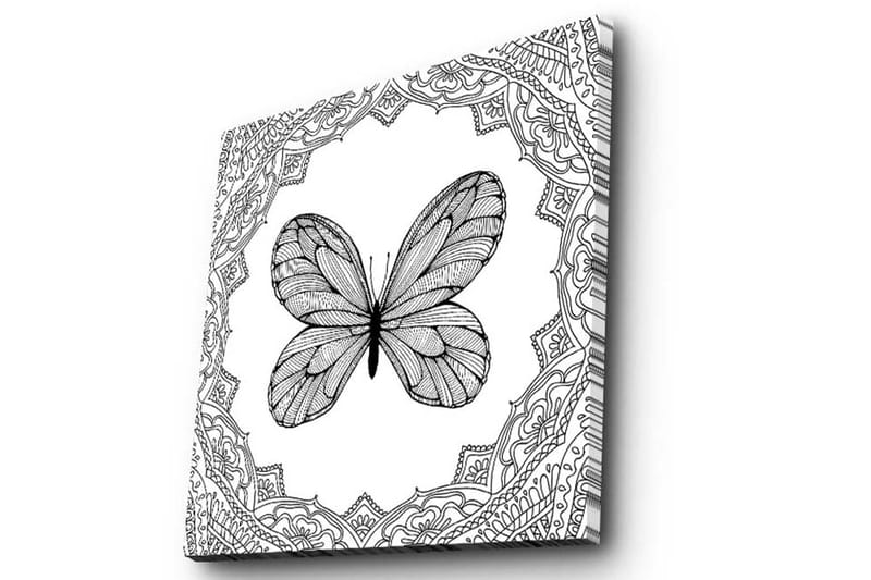Lærredstryk 45x45 cm - Sort sommerfugl med detaljeret mønsterramme - Sort / Hvid - Boligtilbehør - Billeder & kunst - Billeder på lærred