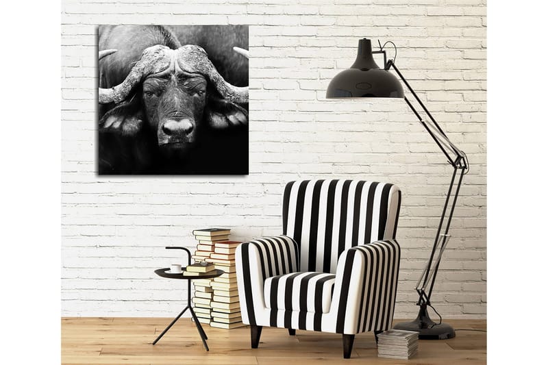 Lærredstryk 45x45 cm - Storslået bøffel med kraftige horn - Sort / Grå - Boligtilbehør - Billeder & kunst - Billeder på lærred