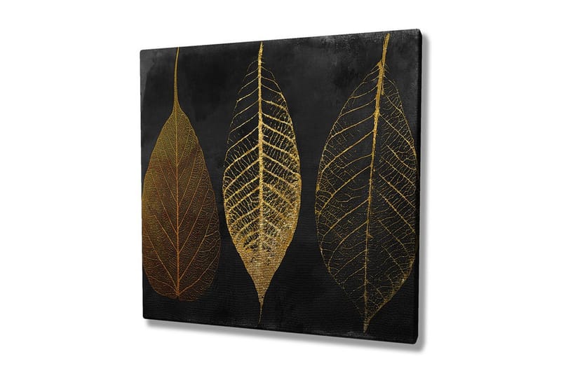 Lærredstryk 45x45 cm - Tre stiliserede blade i guld mod en sort baggrund, Guld / Sort