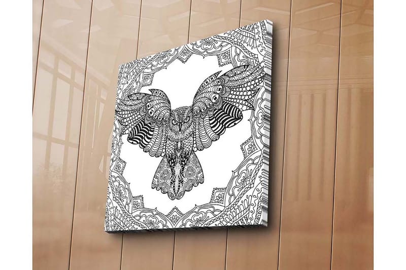 Lærredstryk 45x45 cm - Ugle i detaljeret, sort-hvid stil, Sort / Hvid