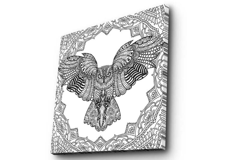 Lærredstryk 45x45 cm - Ugle i detaljeret, sort-hvid stil - Sort / Hvid - Boligtilbehør - Billeder & kunst - Billeder på lærred