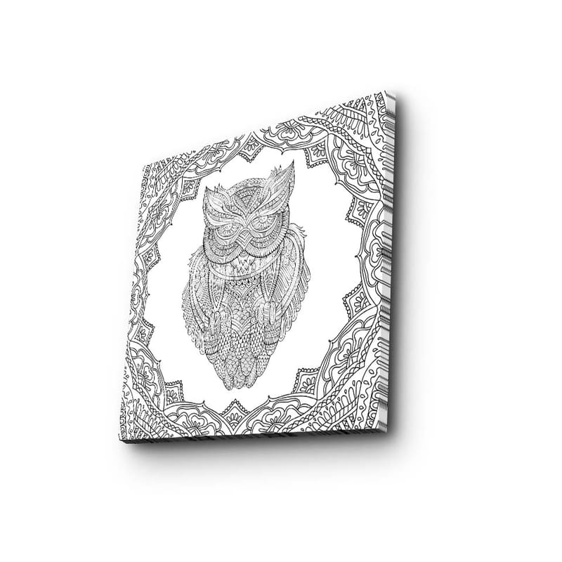 Lærredstryk 45x45 cm - Ugle i detaljeret stregtegning omgivet af ornamentale mønstre - Sort / Hvid - Boligtilbehør - Billeder & kunst - Billeder på lærred