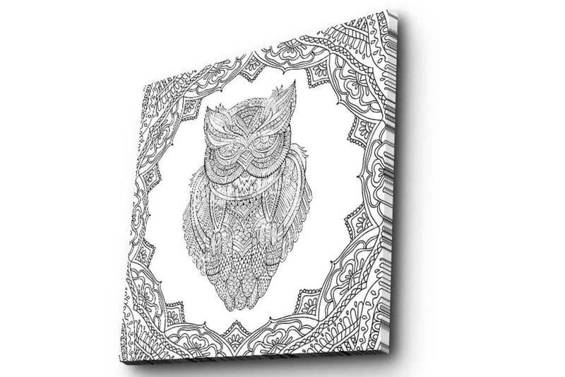 Lærredstryk 45x45 cm - Ugle i detaljeret stregtegning omgivet af ornamentale mønstre - Sort / Hvid - Boligtilbehør - Billeder & kunst - Billeder på lærred