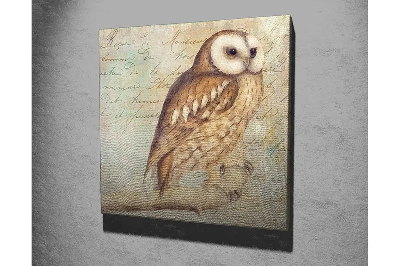 Lærredstryk 45x45 cm - Ugle med detaljeret fjerdragt - Beige / Brun / Lyseblå - Boligtilbehør - Billeder & kunst - Billeder på lærred