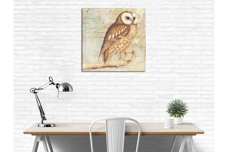 Lærredstryk 45x45 cm - Ugle med detaljeret fjerdragt - Beige / Brun / Lyseblå - Boligtilbehør - Billeder & kunst - Billeder på lærred