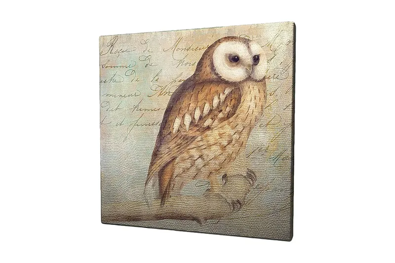 Lærredstryk 45x45 cm - Ugle med detaljeret fjerdragt, Beige / Brun / Lyseblå