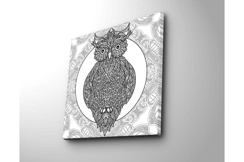 Lærredstryk 45x45 cm - Ugle med indviklede mønstre i sort-hvid - Sort / Hvid - Boligtilbehør - Billeder & kunst - Billeder på lærred