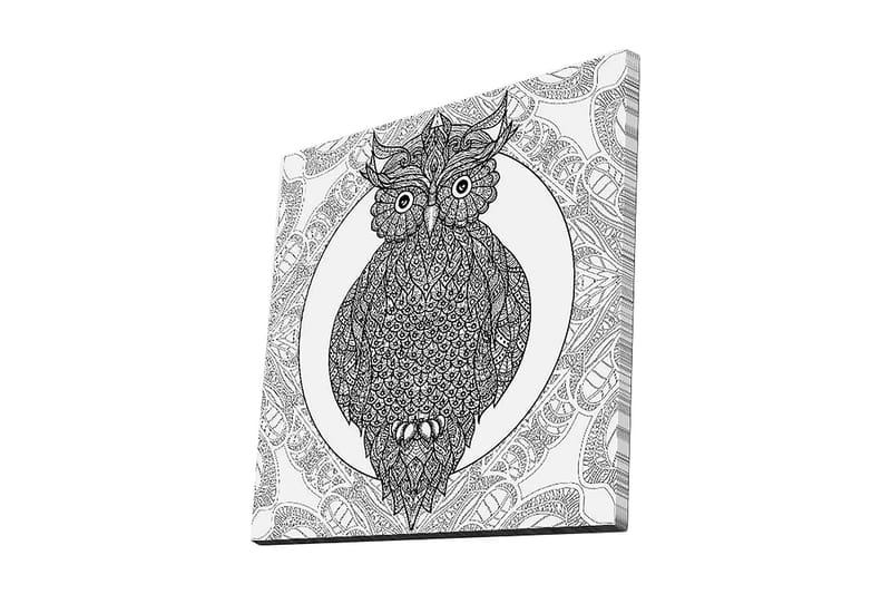 Lærredstryk 45x45 cm - Ugle med indviklede mønstre i sort-hvid, Sort / Hvid