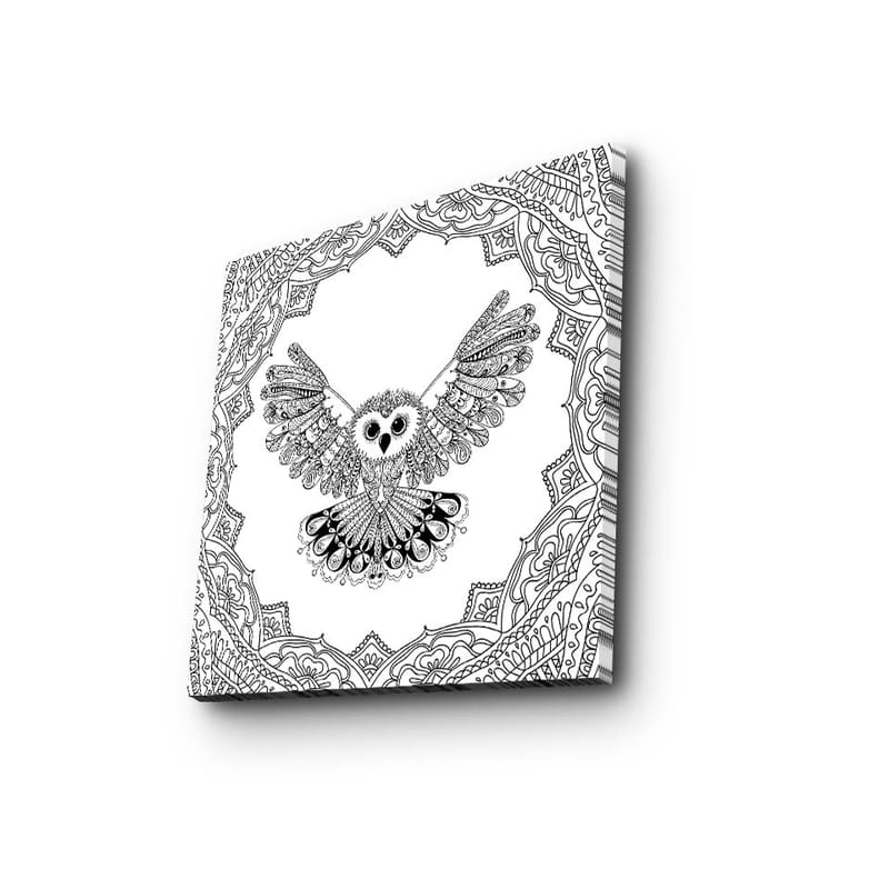 Lærredstryk 45x45 cm - Ugle med udstrakte vinger i en detaljeret ramme, Sort / Hvid