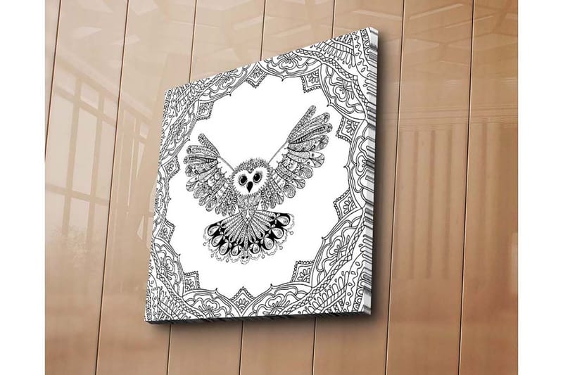 Lærredstryk 45x45 cm - Ugle med udstrakte vinger i en detaljeret ramme - Sort / Hvid - Boligtilbehør - Billeder & kunst - Billeder på lærred
