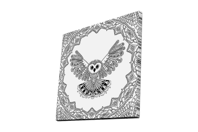 Lærredstryk 45x45 cm - Ugle med udstrakte vinger i en detaljeret ramme, Sort / Hvid