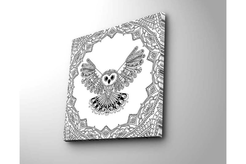 Lærredstryk 45x45 cm - Ugle med udstrakte vinger i en detaljeret ramme - Sort / Hvid - Boligtilbehør - Billeder & kunst - Billeder på lærred