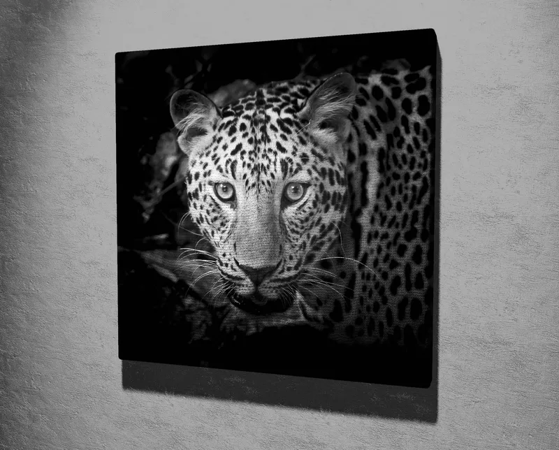 Lærredstryk 45x45 cm - Portræt af en leopard med intense øjne - Sort / Hvid / Grå - Boligtilbehør - Billeder & kunst - Billeder på lærred