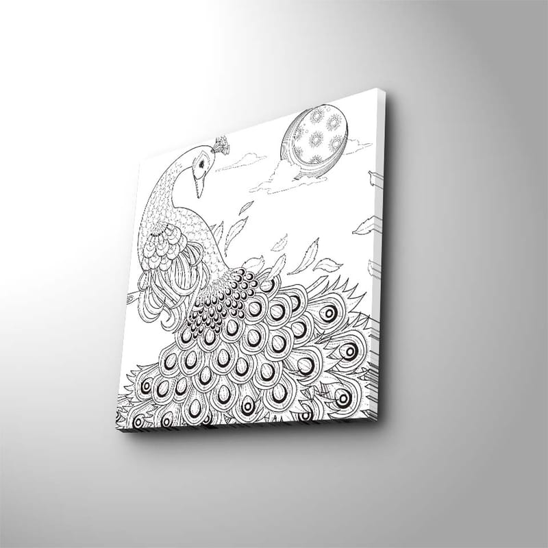 Lærredstryk 45x45 cm - Påfugl med detaljeret fjerdragt - Sort / Hvid - Boligtilbehør - Billeder & kunst - Billeder på lærred