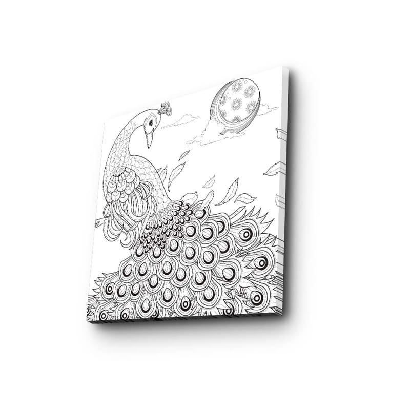 Lærredstryk 45x45 cm - Påfugl med detaljeret fjerdragt, Sort / Hvid