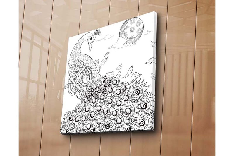 Lærredstryk 45x45 cm - Påfugl med spredte fjer i en detaljeret komposition - Sort / Hvid - Boligtilbehør - Billeder & kunst - Billeder på lærred