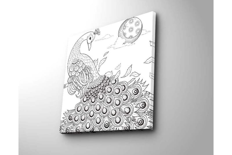 Lærredstryk 45x45 cm - Påfugl med spredte fjer i en detaljeret komposition - Sort / Hvid - Boligtilbehør - Billeder & kunst - Billeder på lærred